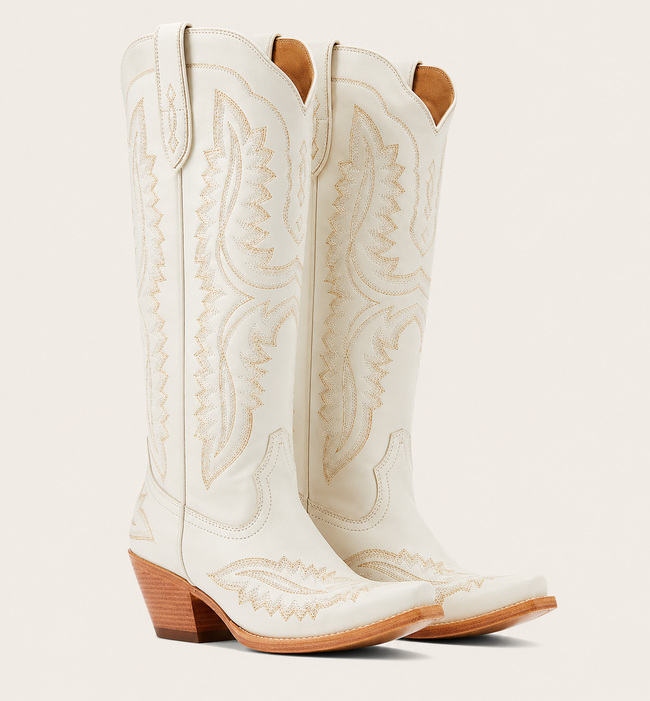 The Wicked West Boot