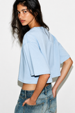 The Clean Slate Crop