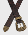 The Solaria Belt