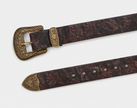 The Solaria Belt