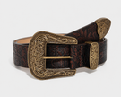 The Solaria Belt