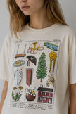 The Swiftie Tee