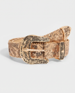 The Aurelia Belt