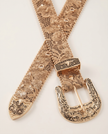 The Aurelia Belt