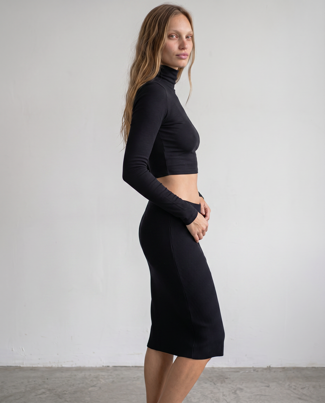 Odessa Turtleneck Crop Top