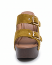 The Sedona Mule