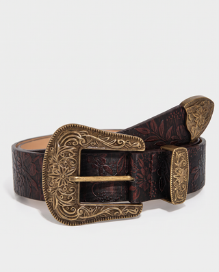 The Solaria Belt