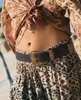 The Solaria Belt