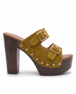 The Sedona Mule