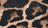 Leopard Brown