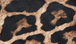 Leopard Brown