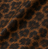 Classic Leopard
