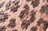 Pink Leopard
