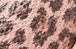 Pink Leopard