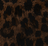 Nocturne Leopard
