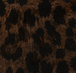 Nocturne Leopard