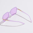 The Sophia Sunglasses